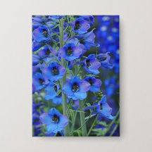 Abzeichen Delphinias