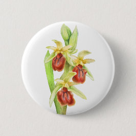 Abzeichen der frühen Spinnen-Orchideen Button