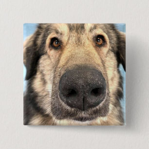 Abzeichen Dog Button