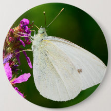 Abzeichen mit Schmetterling