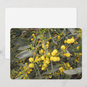 Acacia Flat Holiday Card Feiertagskarte