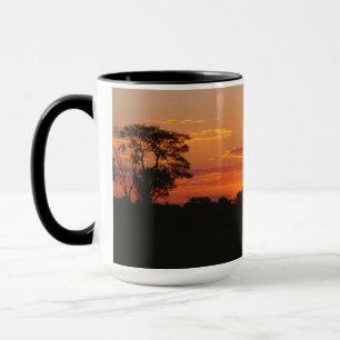 Acacia Sunset Tasse