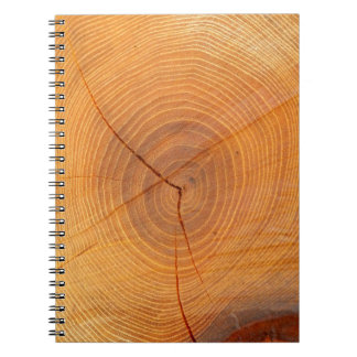 Acacia Tree Cross Section Foto Notebook Notizblock