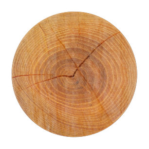 Acacia Tree Cross-Section Glass Chopping Board Schneidebrett