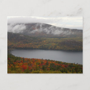 Acadia Fall Trees Postkarte