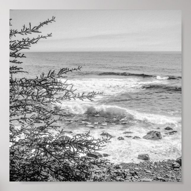 Acadia Maine Coastline Black and White Archival Poster (Vorne)