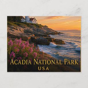 Acadia Maine Felsenküste & Cadillac Mountain Postkarte