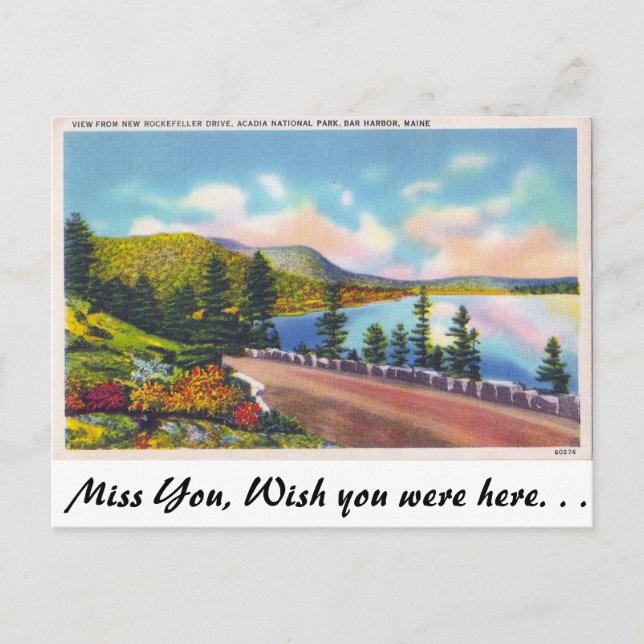 Acadia Nat. Park, Bar Hafen, Maine Postkarte (Vorderseite)