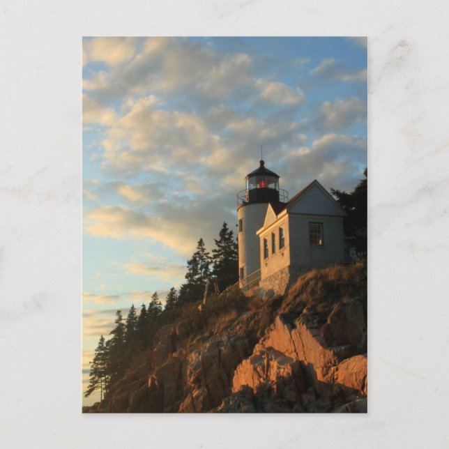 Acadia National Park Bass Harbour Lighthouse Postkarte (Vorderseite)