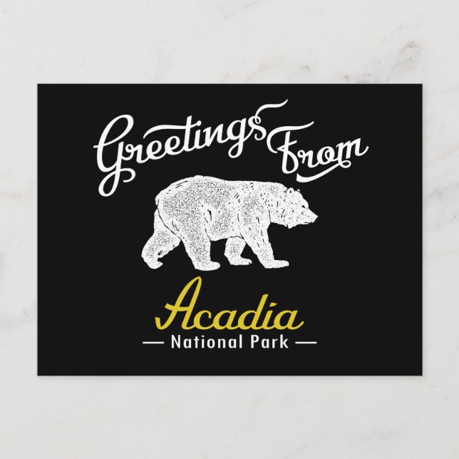 Acadia National Park Bear Postkarte (Vorderseite)