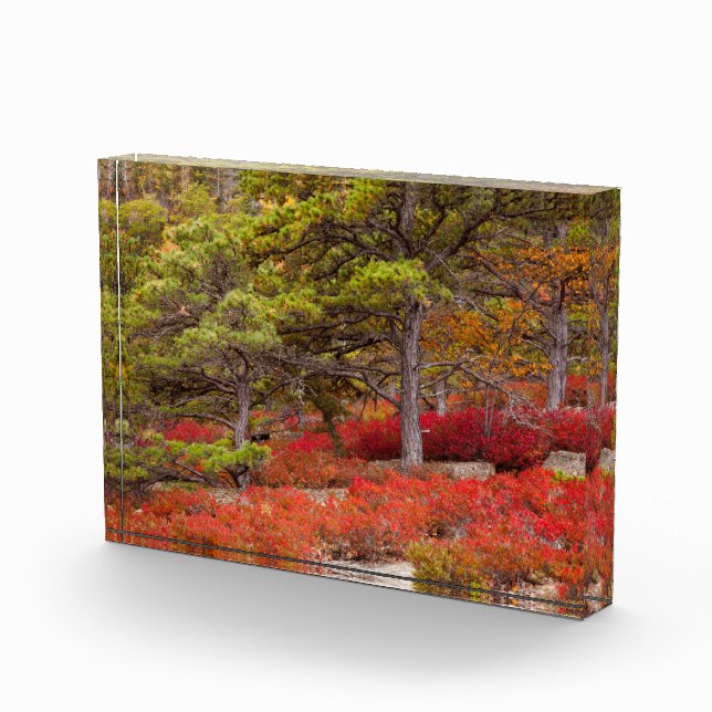 Acadia National Park, Maine Fotoblock (Rechts)