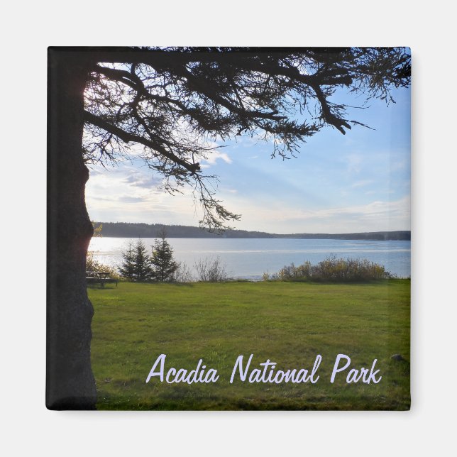 Acadia National Park, Maine Magnet (Vorne)
