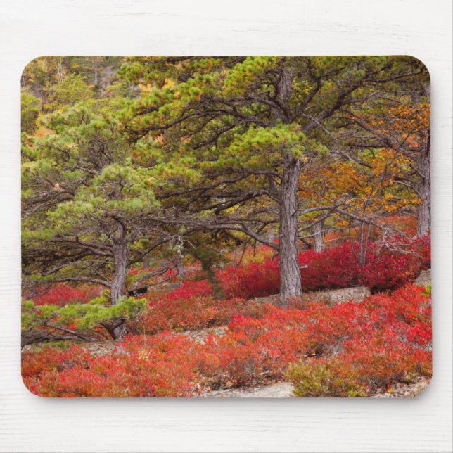 Acadia National Park, Maine Mousepad (Vorne)