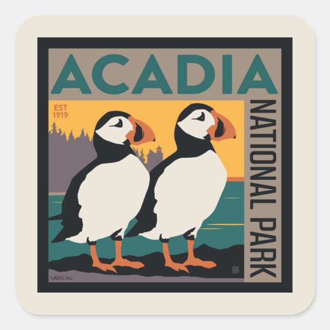 Acadia National Park, Maine | Puffins Quadratischer Aufkleber (Vorderseite)