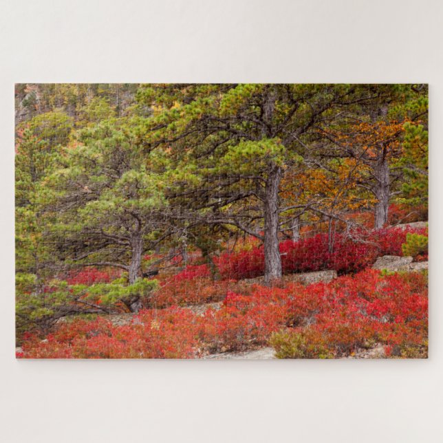 Acadia National Park, Maine Puzzle (Horizontal)