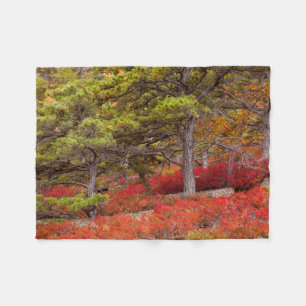 Acadia-Nationalpark, Maine Fleecedecke