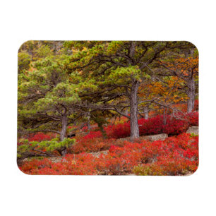 Acadia-Nationalpark, Maine Magnet