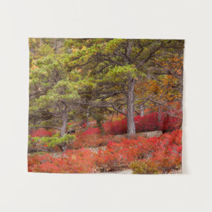 Acadia-Nationalpark, Maine Wandteppich