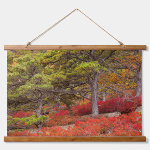 Acadia-Nationalpark, Maine Wandteppich Mit Holzrahmen