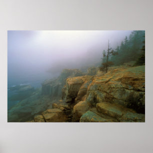 Acadia Nationalpark Otter Cliffs Poster