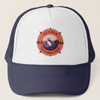 Acadia Nationalpark Puffin Retro Kompass Emblem