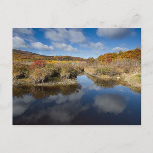 Acadia NP: Herbstfarben, Reflexionen Postkarte (Vorderseite)