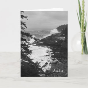Acadia Surf Notecard - 8 Karte