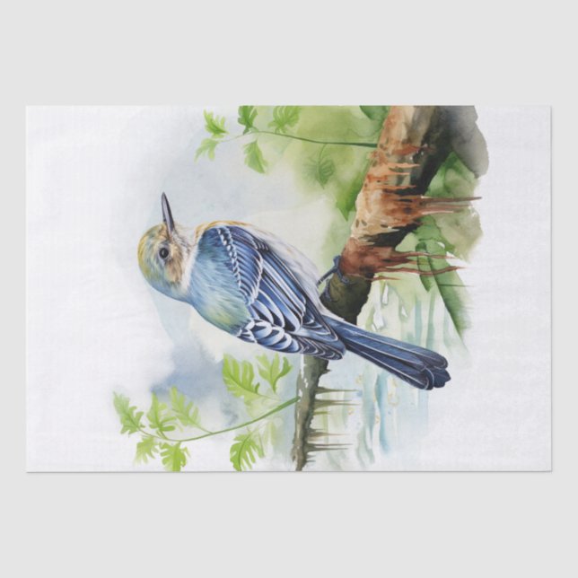 Acadian Flycatcher Bird Seidenpapier (Vorderseite)