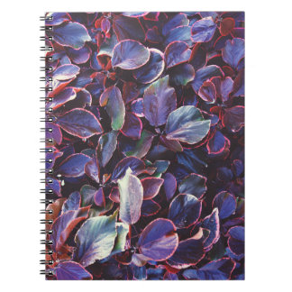 Acalypha Wilkesiana Notizblock