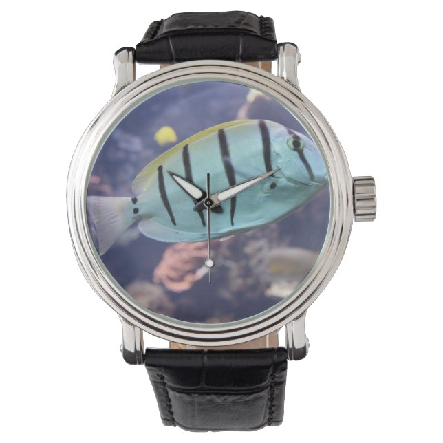 Acanthurus triostegus armbanduhr (Vorderseite)