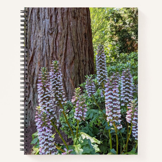 Acanthus/Bären's Breeches Floral Notebook Notizbuch (Vorderseite)