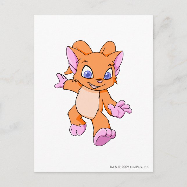 Acara Orange Postkarte (Vorderseite)