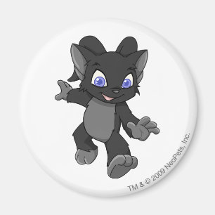 Acara Schatten Magnet