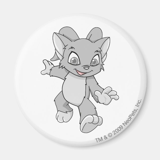 Acara Silver Magnet (Vorne)