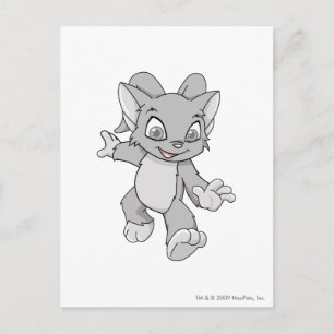 Acara Silver Postkarte