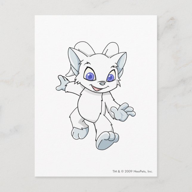 Acara White Postkarte (Vorderseite)