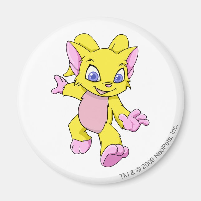 Acara Yellow Magnet (Vorne)