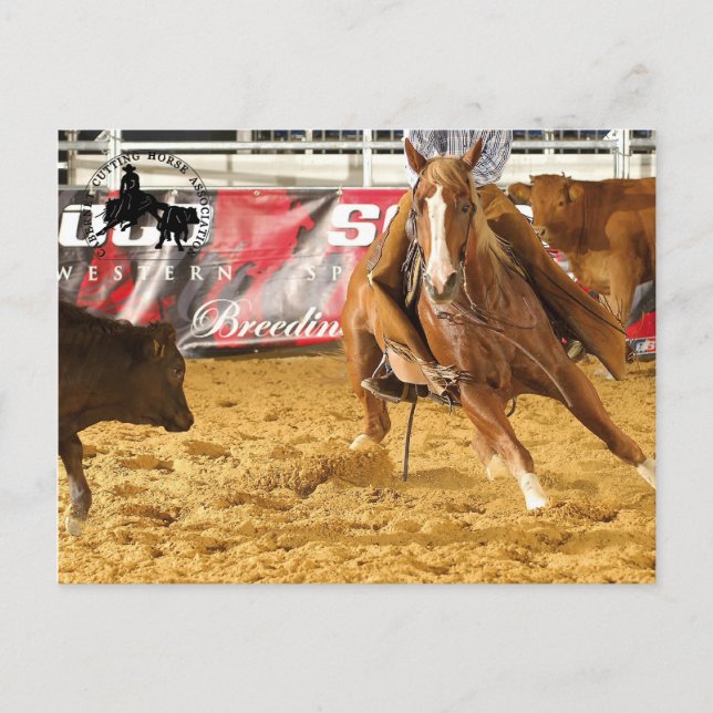 Accessoires Cabernet CHA Carte Postale 5 Postkarte (Vorderseite)