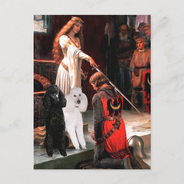 Accolade - Pudel (TWO Standard) Postkarte (Vorderseite)