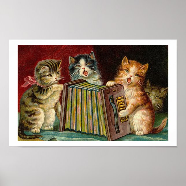 Accordeon Kittens Rock ! Poster (Vorne)