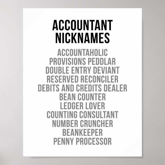 Accountant Nicknames Poster (Vorne)