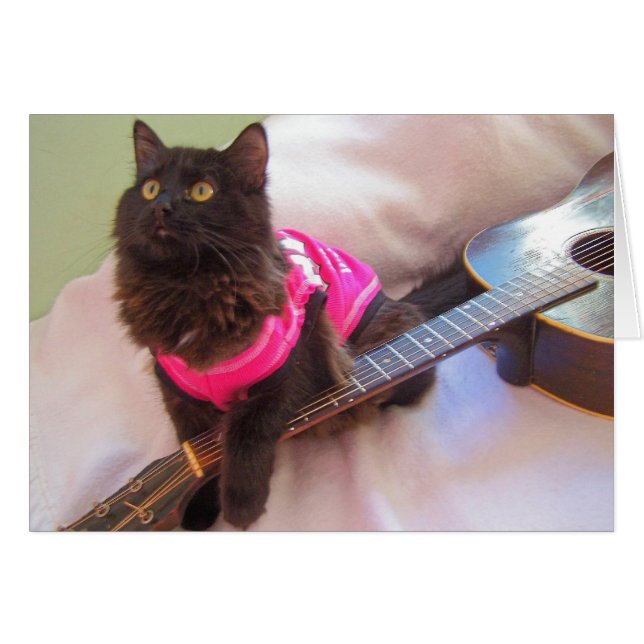 ACDC-Shirt (Vorderseite (Horizontal))