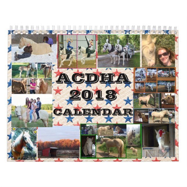 ACDHA 2018 Kalender (Titelbild)