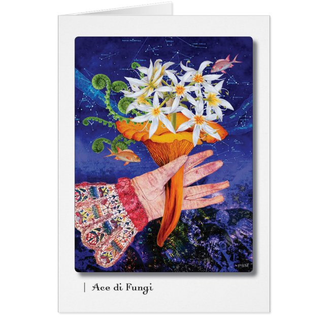 Ace di Fungi (Vorne)