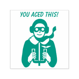 Ace Pilot Flyer Grade School Lehrer A Plus Permastempel