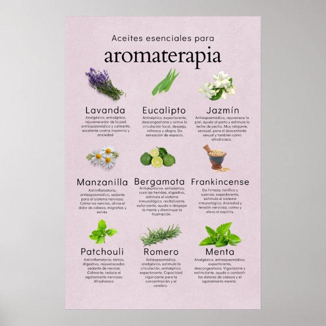 Aceites esenciales aromaterapia en español poster (Vorne)