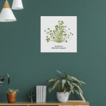 Acetabularia (Mermaid's Wineglass) Handgezogene