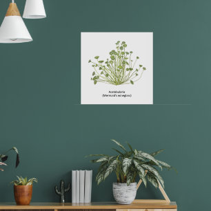 Acetabularia (Mermaid's Wineglass) Handgezogene Poster