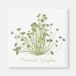 Acetabularia Seaweed Art Square Magnet