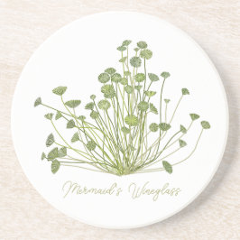 Acetabularia Seetang-Stone-Untersetzer Getränkeuntersetzer